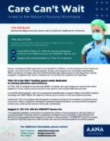 Thumbnail of AANA Workforce Funding File